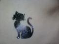 fekete macska fehér csíkkal
